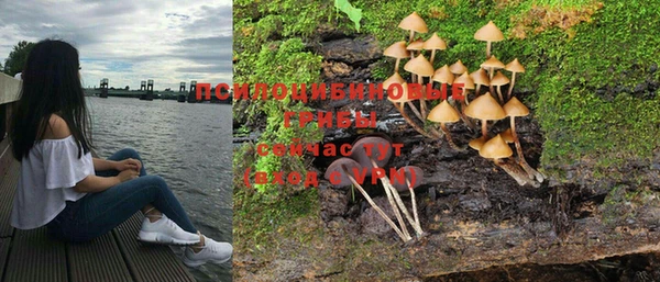 кокаин перу Белокуриха